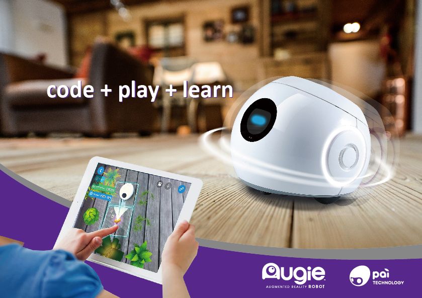 Paig Augie - Coding A/R Robot