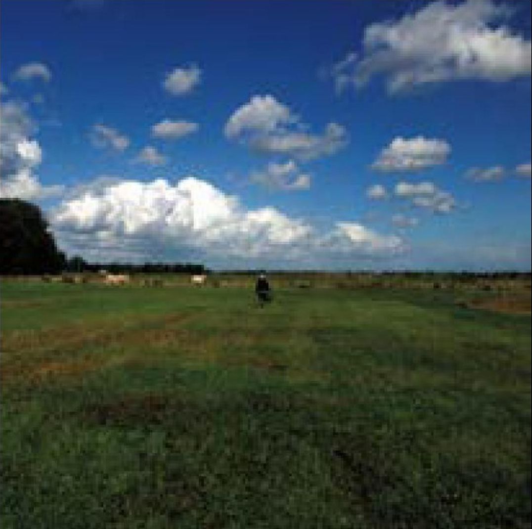 Hilvarenbeek Recordings