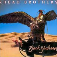 Black Shaheen