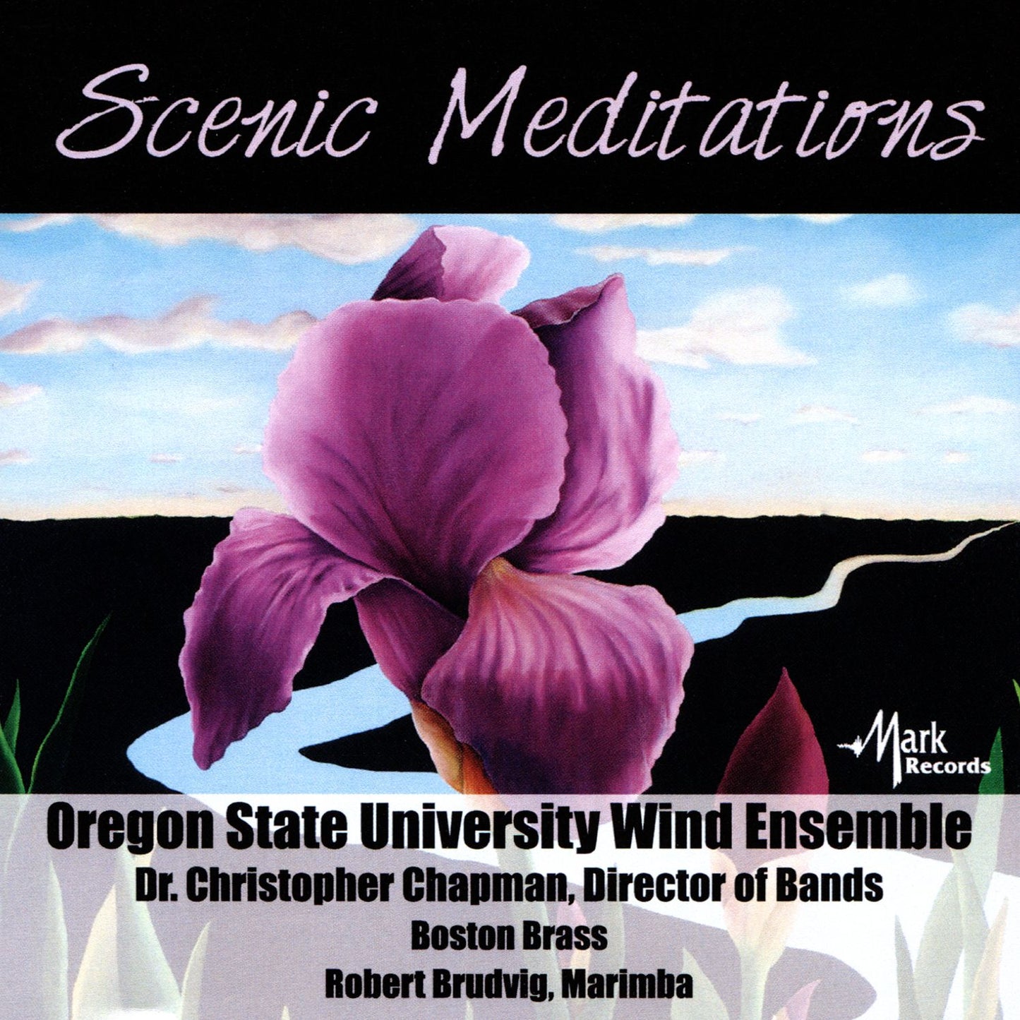 Scenic Meditations