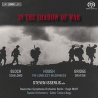 In the Shadow of war