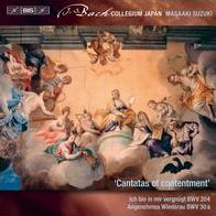 Secular Cantatas 10 (J.S. Bach / Henrici)