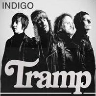 Indigo (Tramp)