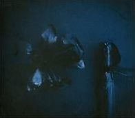 The Rifts