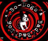 Bad Bad Dog!