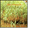 Allan Pettersson: Sonatas for Two Violins
