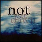 Lennart Fredriksson: Not Yet Dawn