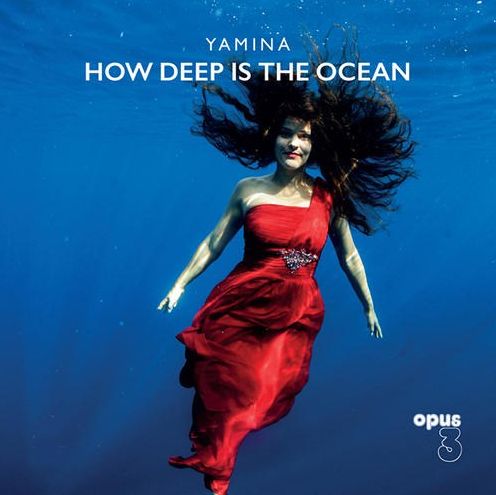 How Deep Is The Ocean [Lp]