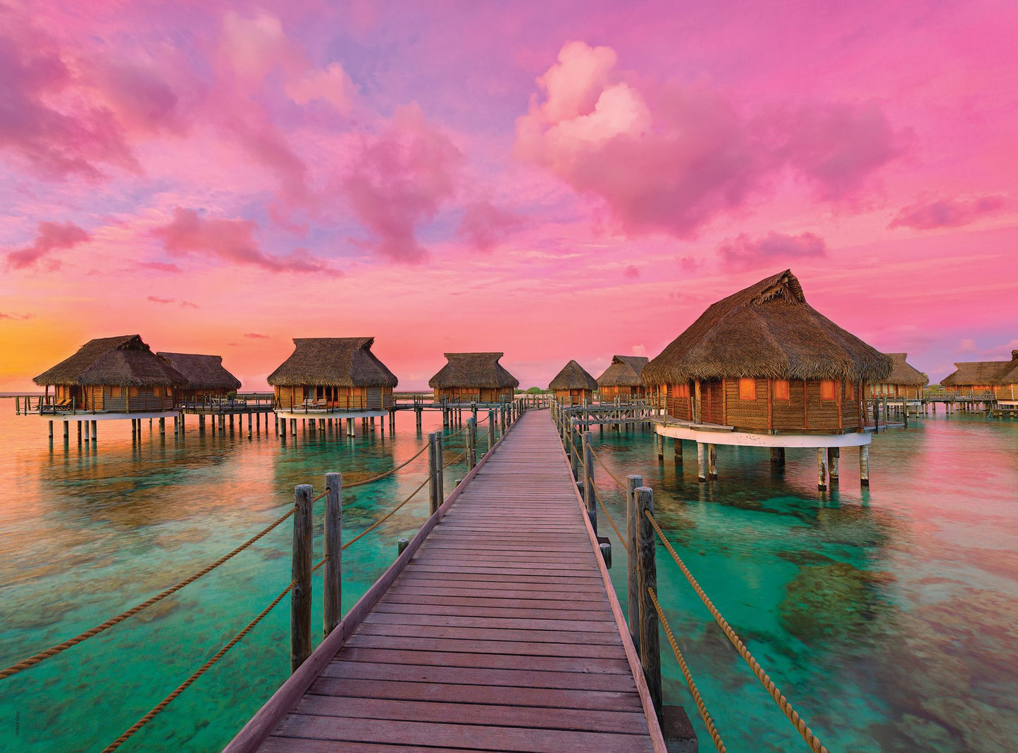 Colorful Paradise 500 piece puzzle