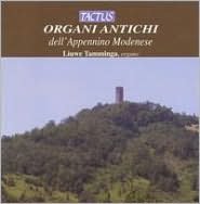 Organi antichi dell'Appennino Modenese