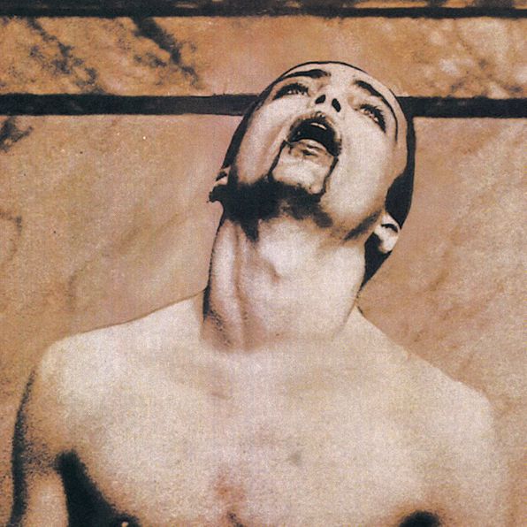 Andy Warhol's Blood For Dracula