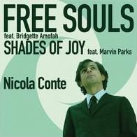 Free Souls-shades Of Joy (Nicola Conte)