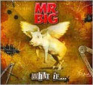 Mr. Big: What If... [CD/DVD]