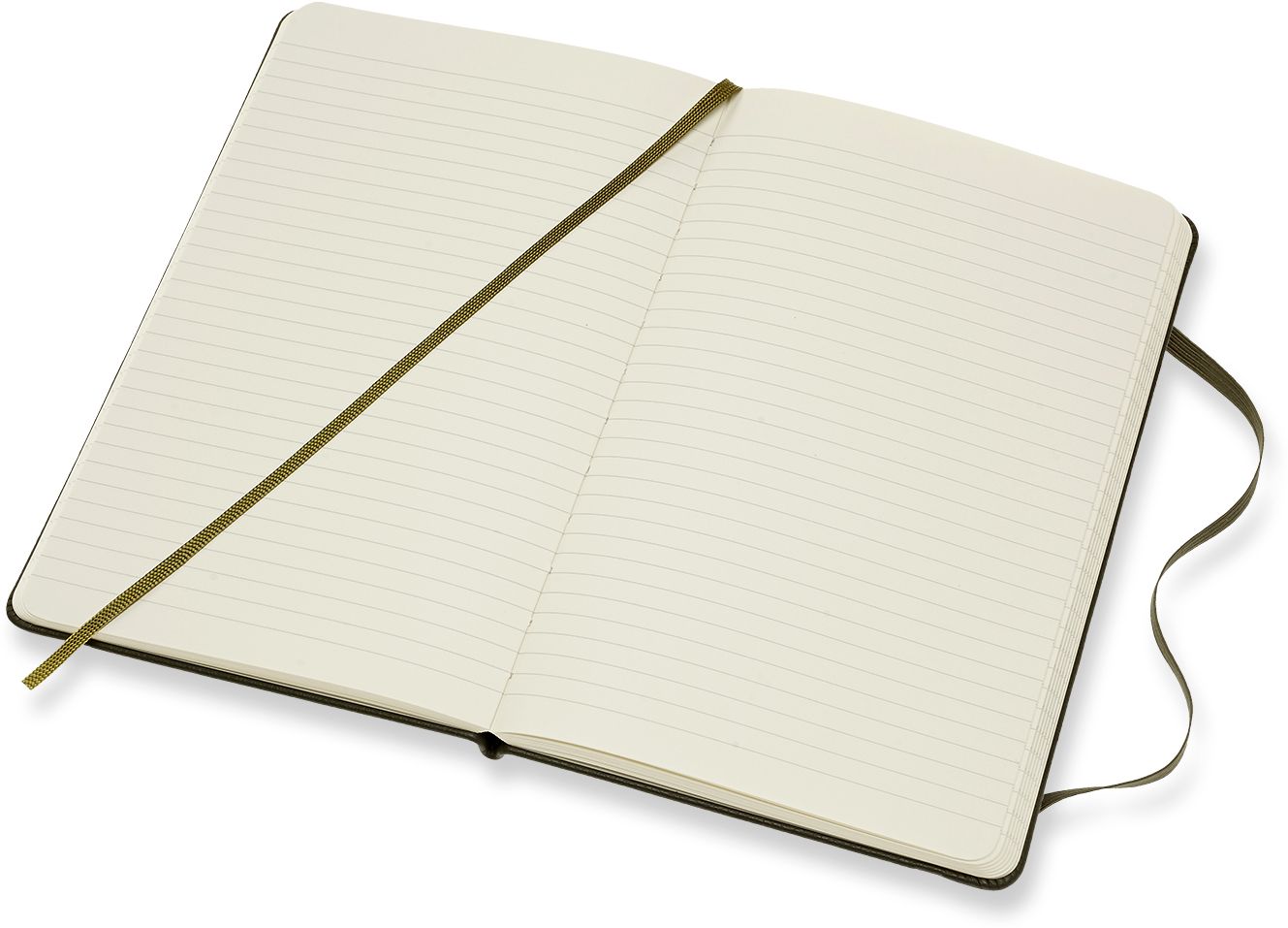 Moleskine Limited Collection Notebook Leather Large Ruled Moss Green