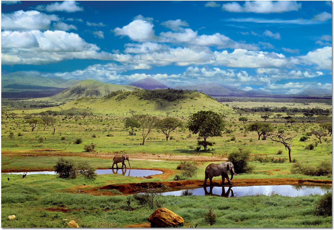 Tsavo National Park, Kenya 500 Piece Puzzle