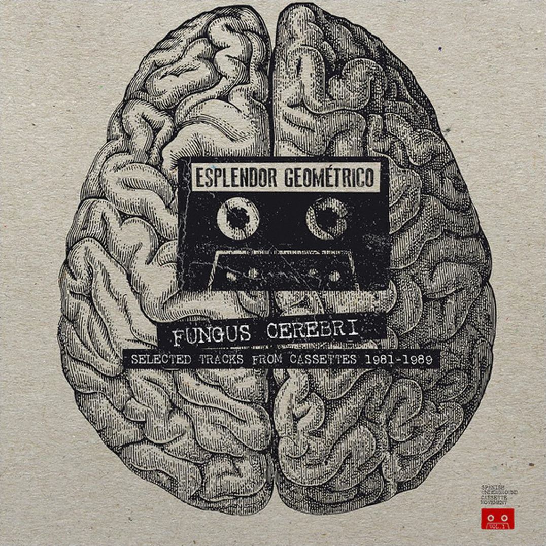 Fungus Cerebri [Lp]