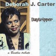 Daytripper