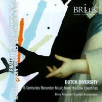 Dutch Diversity