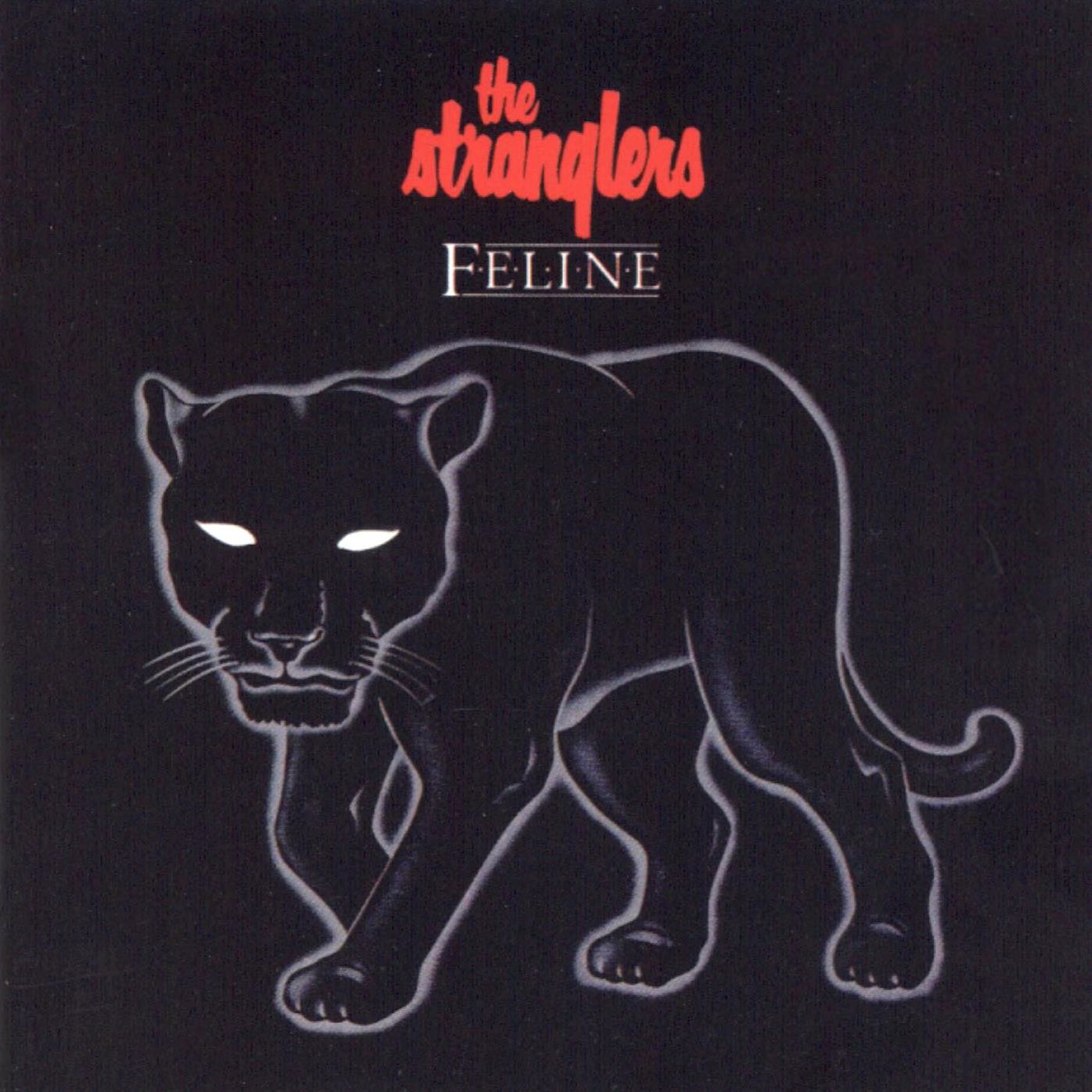 Feline