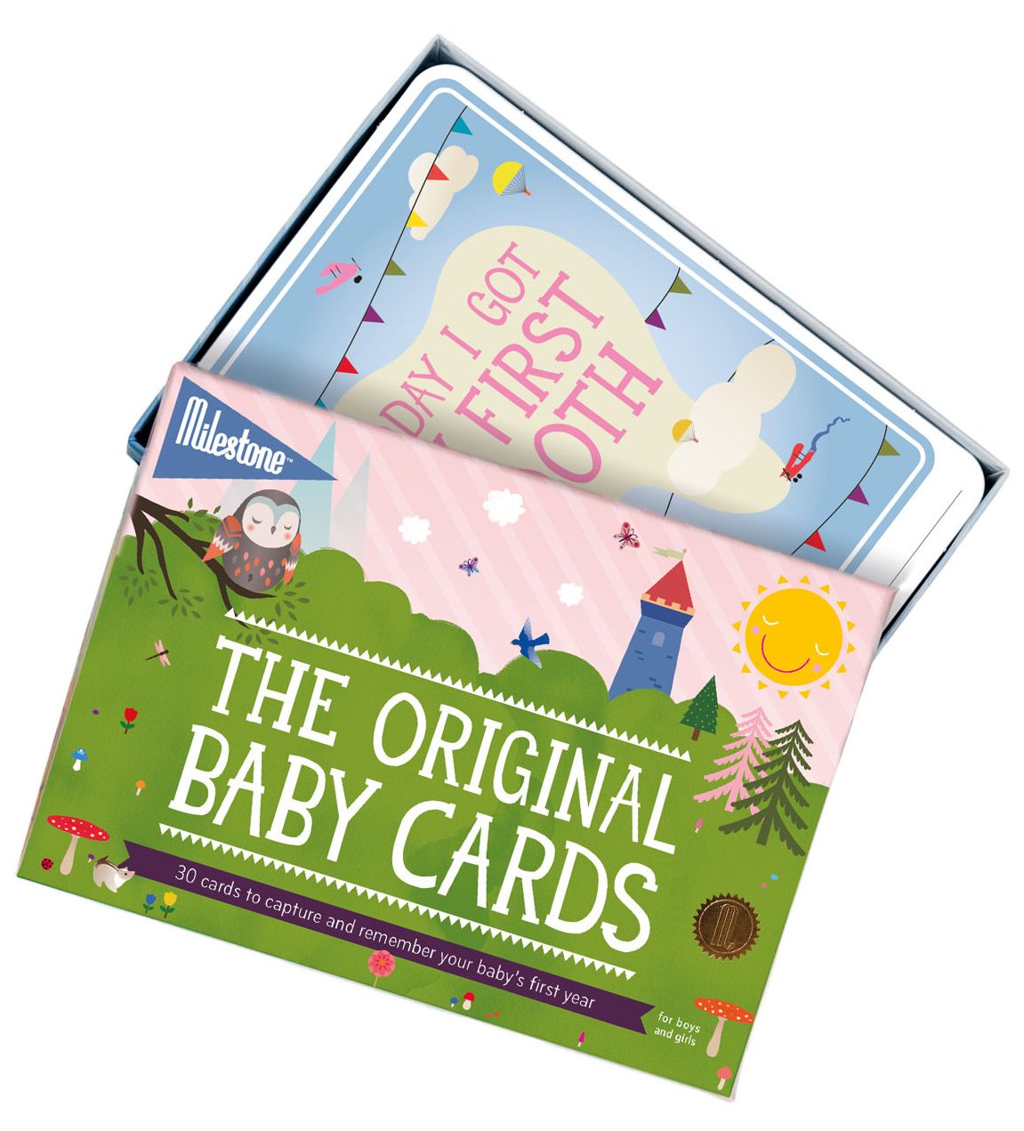Baby Milestone Cards