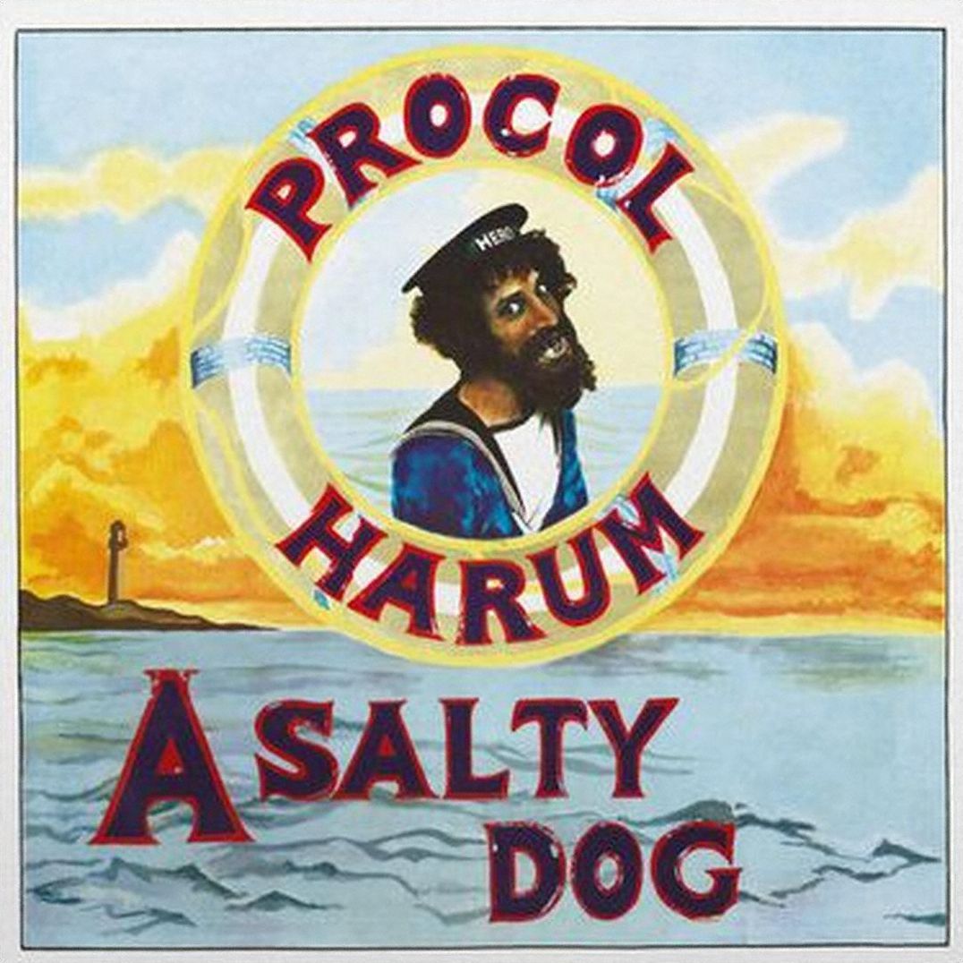 A Salty Dog