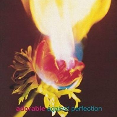 Against Perfection