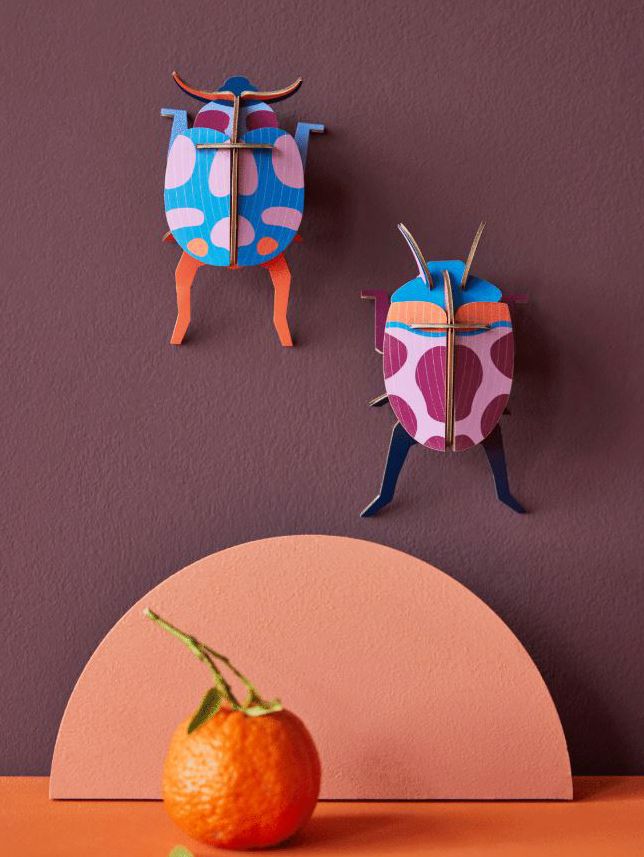 STUDIO ROOF COCCINELLE COUPLE