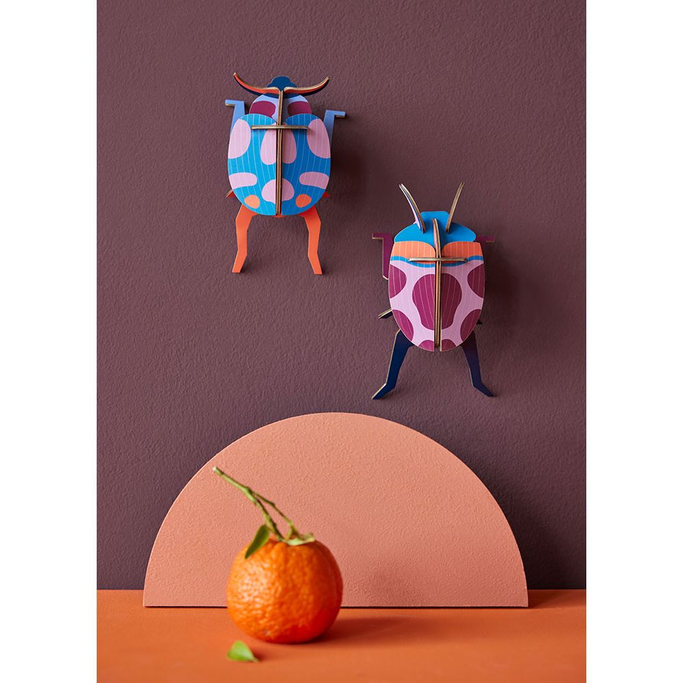 STUDIO ROOF COCCINELLE COUPLE