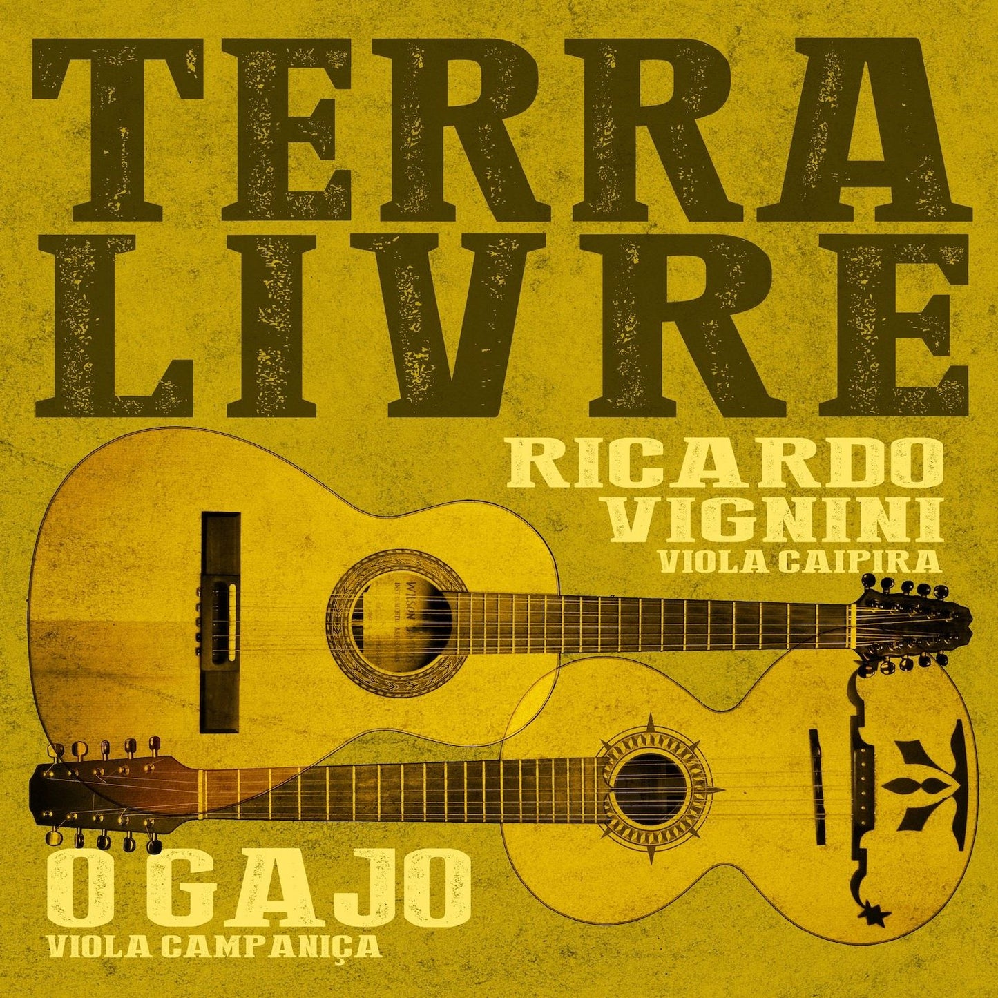 Terra Livre (Ricardo Vignini & O Gajo)