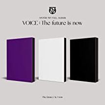 Voice: The Future Is Now
