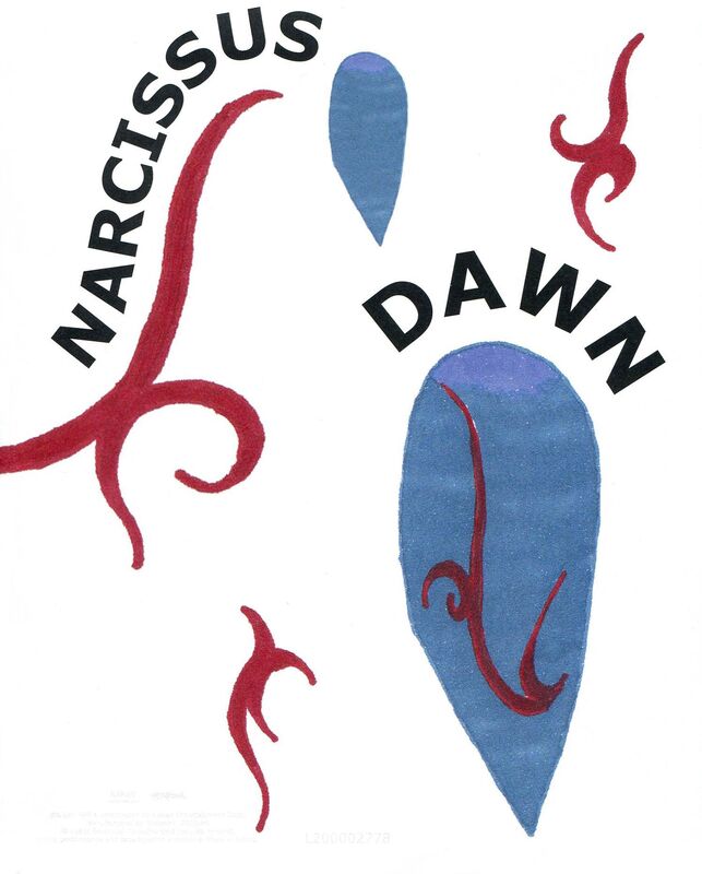 Narcissus