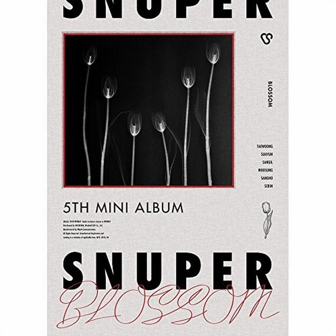 Blossom (Snuper)