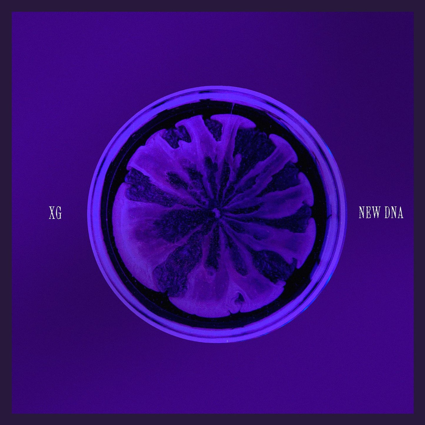 New Dna - Random Cover (Stic) (Pcrd) (Phob) (Ttat)