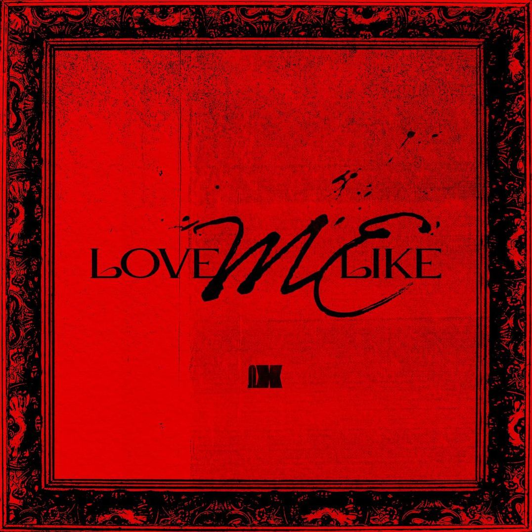 Love Me Like (Random Cover)