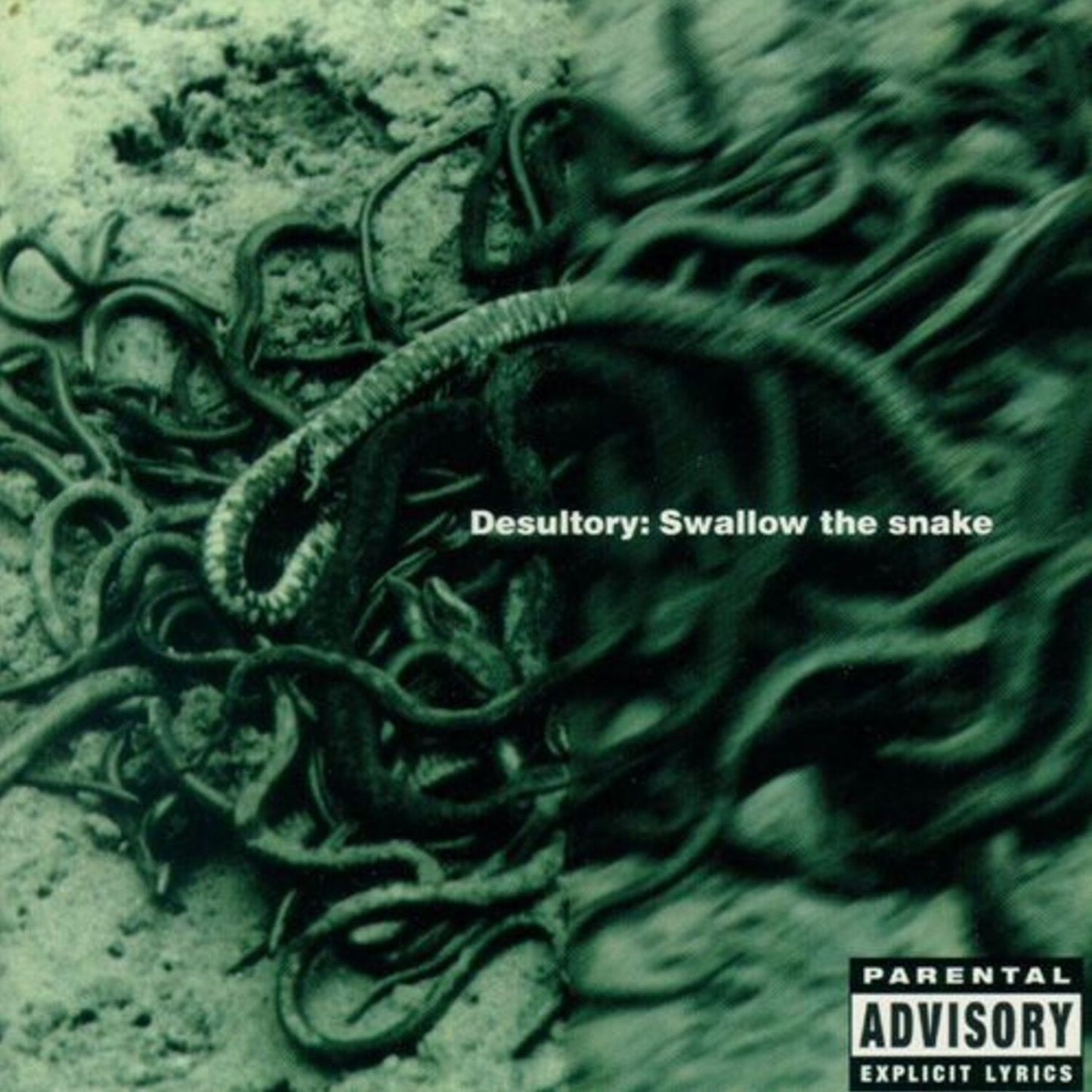 Swallow The Snake (Desultory)