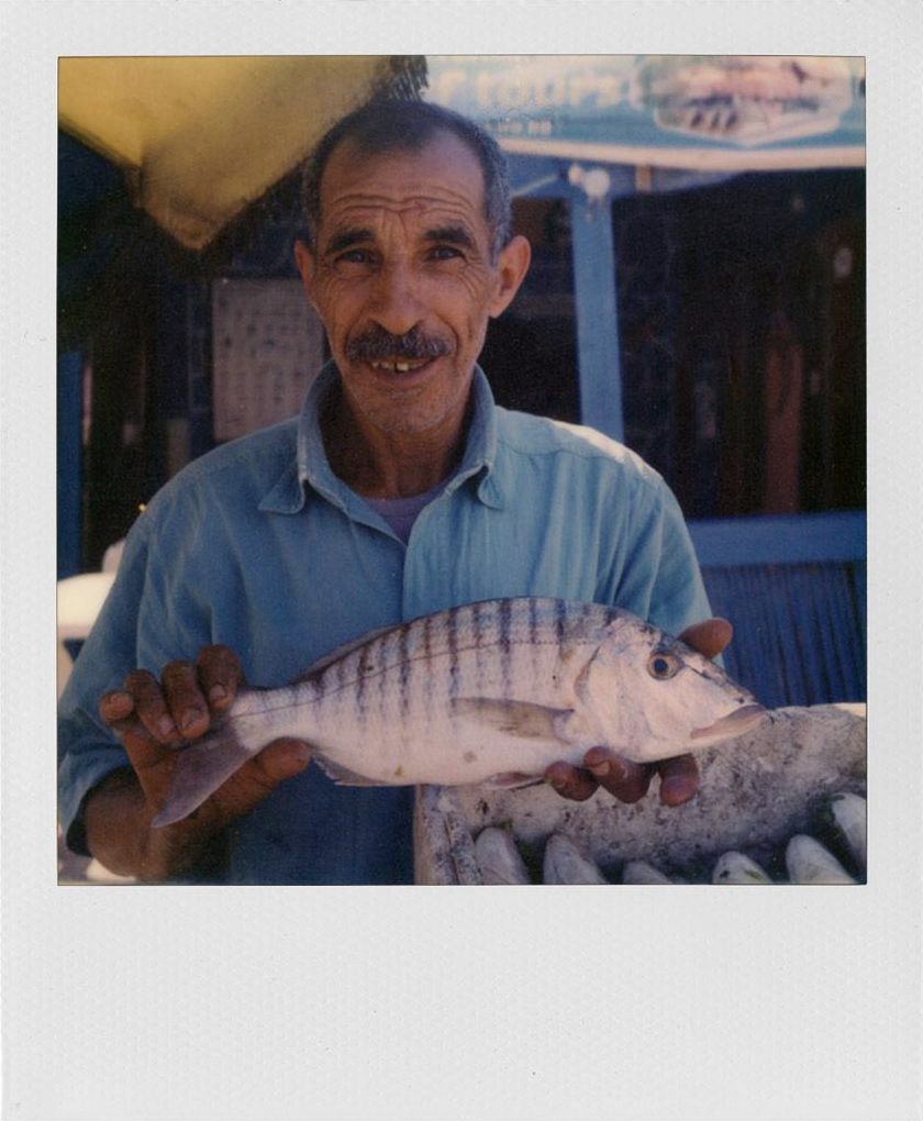 600 Color Film N