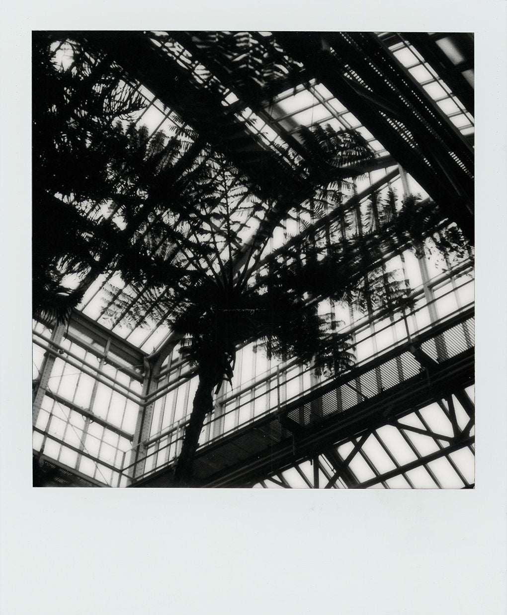 600 B&W Film N