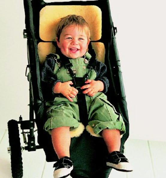 Auskin Lambskin Stroller/Seat Cover