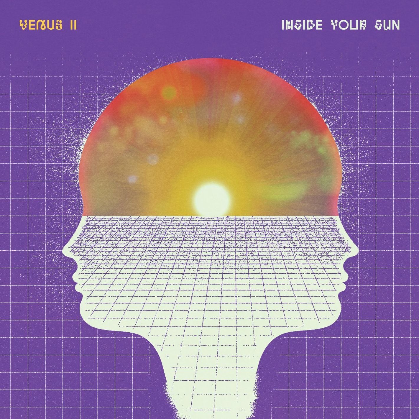 Inside Your Sun
