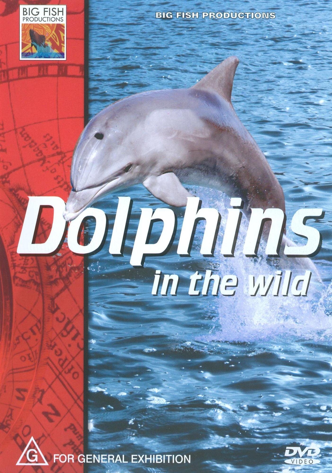 Dolphins in the Wild