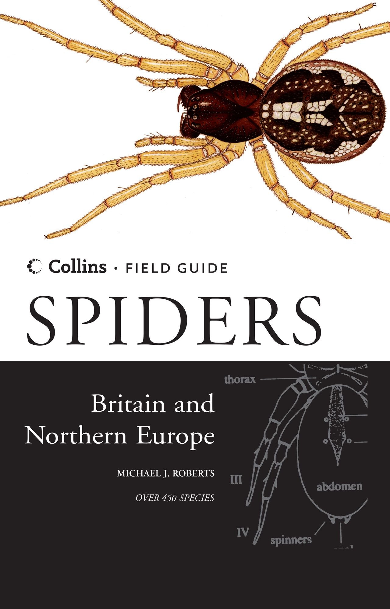 Spiders of Britain & Northern Europe