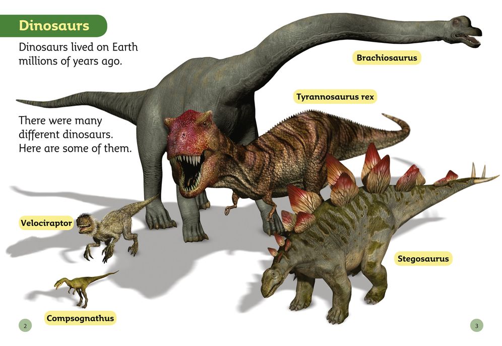 Top Dinosaurs: Band 04/Blue