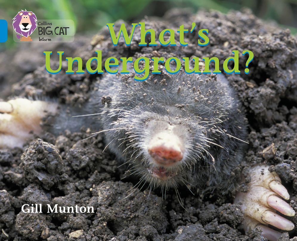 What's Underground: Band 04/Blue