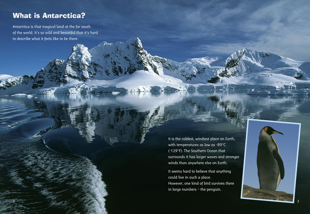 Antarctica: Land of the Penguins: Band 10/White