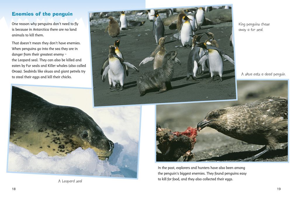 Antarctica: Land of the Penguins: Band 10/White