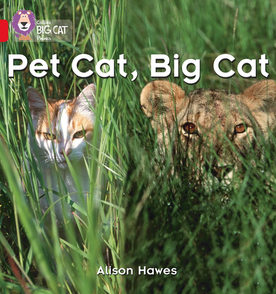 Pet Cat, Big Cat: Band 02a/Red a