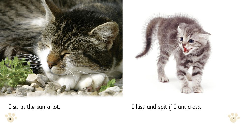 Pet Cat, Big Cat: Band 02a/Red a