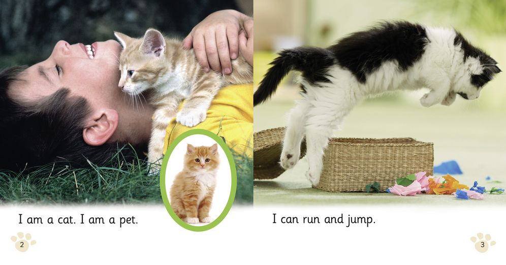 Pet Cat, Big Cat: Band 02a/Red a