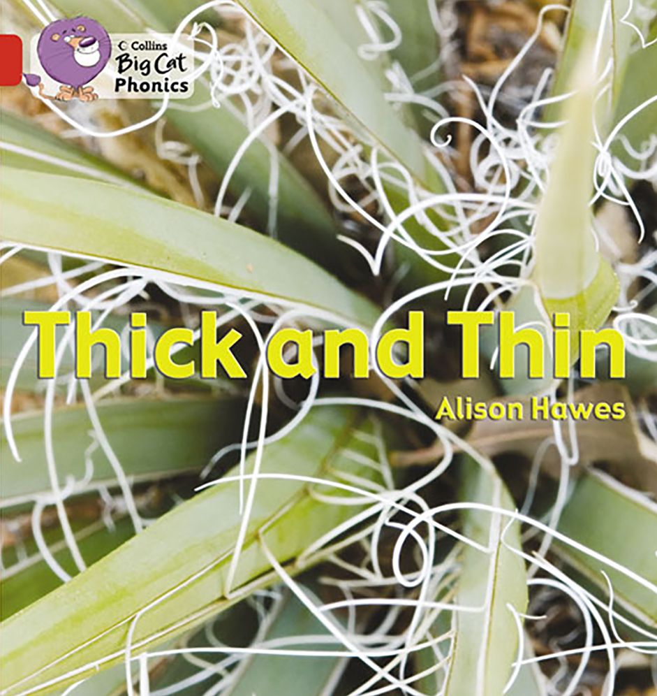 Thick and Thin: Band 02b/Red B