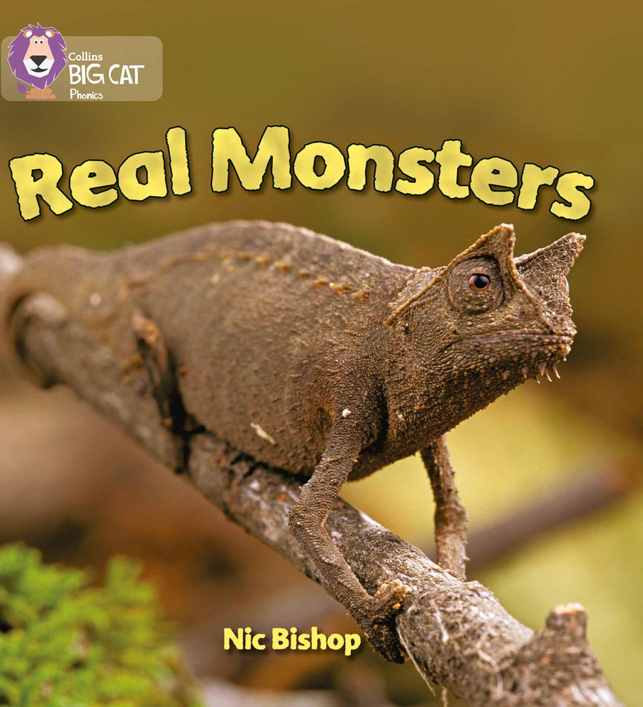 Real Monsters: Band 03/Yellow